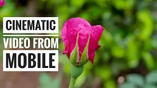 Cinematic video from mobile camera|| Asus zenfone