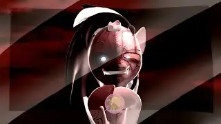 [MLP] [SFM] BAKA // Animation MEME // WARNING: FLASH WARNING !