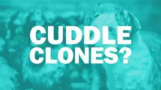 Cuddle Clones - What Are Cuddle Clones? - Custom Plush & 3D Printed Products