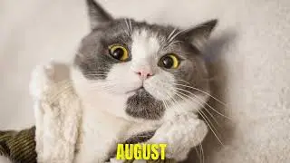 Your Month Your Pet- Birthday Month