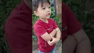 Bocah ini lebih berani melihat orang kecelakaan dari pada Tante nya😂