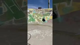 Ride the skatepark with me and my RC drifter!