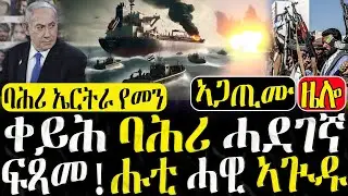 Dasna Tv | (እዋናዊ ዛዕባ) - ቀይሕ ባሕሪ ሓደገኛ ፍጻመ - 23/08/2024