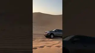 Safari TOURS