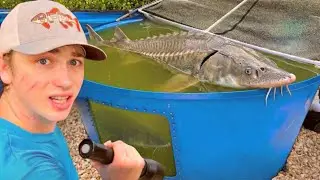 I Bought a PREHISTORIC Pond Monster!