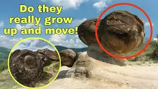 Romania’s Enigmatic Trovants: Living Rocks That Grow and Move!