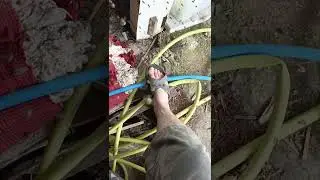 Они меня не хотят оставлять ☺️🥰опять рой прилетел
