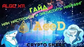 Как Настроить и Запустить Майнинг (AceD Coin) x11