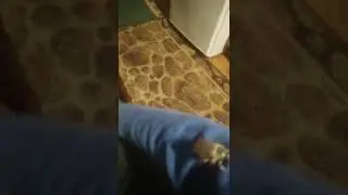18 травня 2022 р.