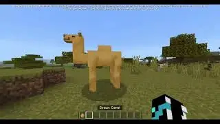 Playing Bedrock Edition And New Changes... 