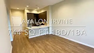 Avalon Irvine - Phase III 774 Sq Ft One Bedroom - One Bath Apartment (A23)