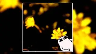 макулатура — утопия (Full Album)