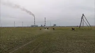 Конно-спортивный клуб Юлианна
