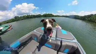 LAKE VIBES!
