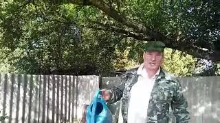 КАК СДЕЛАТЬ КОМПОСТ ИЗ ТРАВЫ