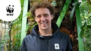 Jochem Myjer nieuwe ambassadeur Wereld Natuur Fonds