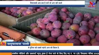 Miyazaki Mango - मियाजाकी आम क्या है जानें जो आप नहीं जानते |