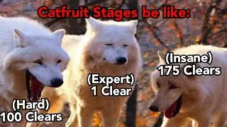 Battle Cats: Catfruit Buffet