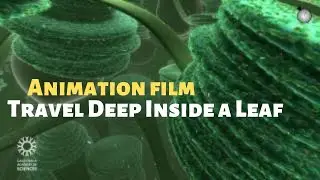 Travel Deep INSIDE a Leaf - Science Animation Film