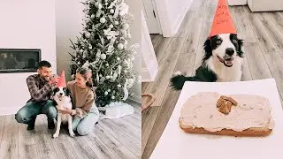 Our Puppy's First Birthday Party!!