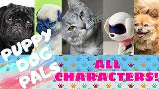 Puppy Dog Pals Characters in REAL LIFE!