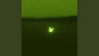INFP’s Diary (Night)