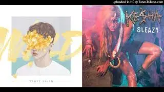WILD & Sleazy - Troye Sivan & Ke$ha (Mashup)