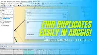 Mastering ArcGIS Summary Statistics: Quickly Identify Duplicates & Summarize Data