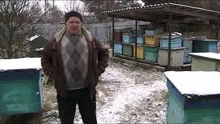 УЛЬИ И РАМКИ/ ДЕЛАТЬ САМОМУ ИЛИ КУПИТЬ