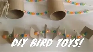 DIY BIRD TOYS!