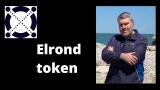 Everything You Need to Know About Elrond Token