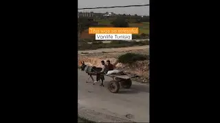 Crazy start to vanlife Tunisia 🇹🇳 🤯