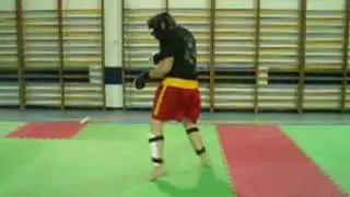 GRISHA 2010 KICKS