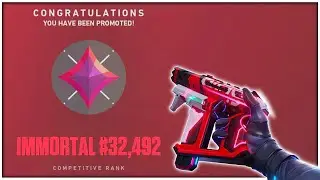 I Climbed to Immortal using a Frenzy only...