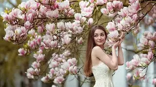 В краю МАГНОЛИЙ!