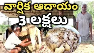 anual income from dairy 3 lacks in telugu- పొర పాటు అయితే తట్టుకోలేం