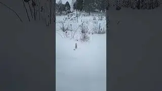 Эххх сыллка на легендарное видео (