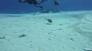 Puffer