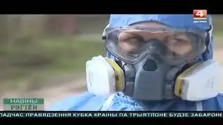 Female work respirator