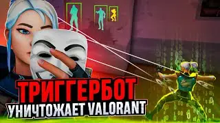 ЧИТЕРЫ С ТРИГГЕРБОТОМ УБИВАЮТ ВАЛОРАНТ / 