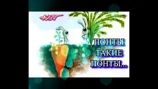ПОНТЫ ? О ПОНТАХ ! / Глупые поступки! (AlexXIT)