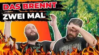 Schweiß, Tränen und Metal: Von mild bis mörderisch im Schärfetest! ZISSMG