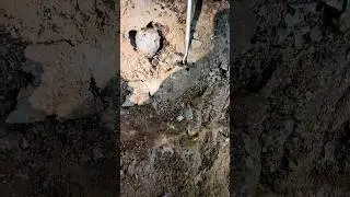 Extracting a Herkimer Diamond 💎 from NY