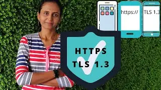 Are mobile app still vulnerable to Data In Transit attacks despite having HTTPS & TLS 1.3