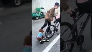 El perro quiere sentarse en el banco de enfrente.