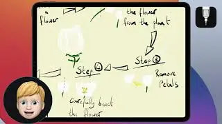 STEM with iPad