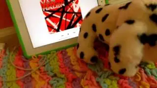 "Old Time Rock and Roll" Webkinz music video