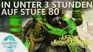 GW2 |  Die schnellste und entspannteste Levelmethode!