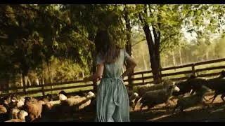 nature field