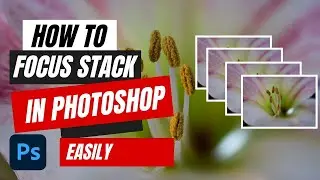 How to Focus Stack in Photoshop | Easy Photo Stacking Tutorial